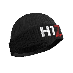 H1Z1 Beanie